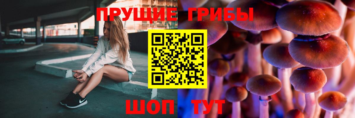 Псилоцибиновые грибы Psilocybine cubensis Тольятти